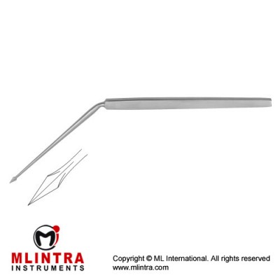 Politzer Tympanum Needle Needle Horizontal Stainless Steel, 16 cm - 6 1/4" Politzer Tympanum Needle Needle Horizontal Stainless Steel, 16 cm - 6 1/4"